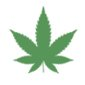 Cbd shop Tallinn
