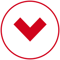 Vipex